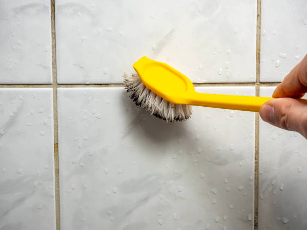 Best Mold Testing  in North Zanesville, OH