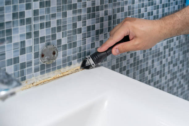 Best Mold Testing  in North Zanesville, OH