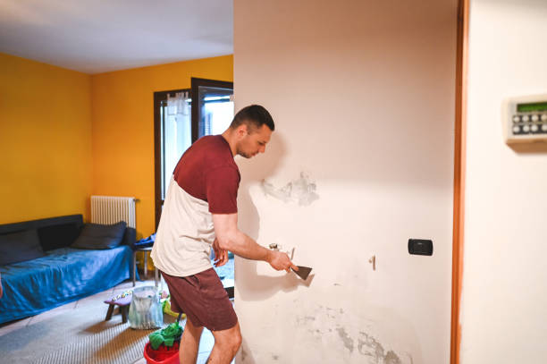 Best Water Damage Restoration  in North Zanesville, OH