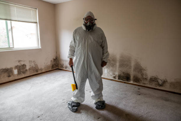 Best Mold Cleaning Services  in North Zanesville, OH